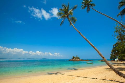Tropical Palm-Framed Turquoise Beach with Small Rocky Island, Golden Sand and Clear Blue Sky