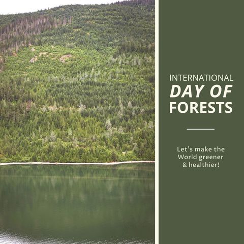 Scenic Lake and Verdant Forest for International Day of Forests - Download Free Stock Templates Pikwizard.com