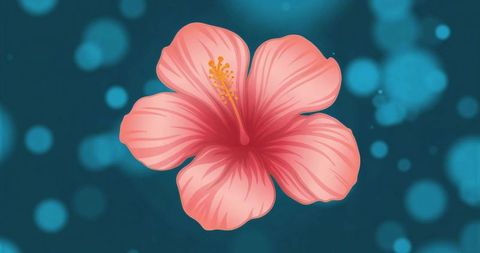 Vibrant Pink Hibiscus Blooming Over Teal Bokeh Background for Tropical Design