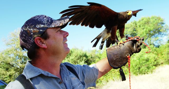 Man Training Falcon in Open Field - Download Free Stock Images Pikwizard.com