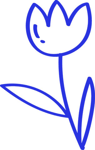 Blue line art flower on transparent background for botanical design