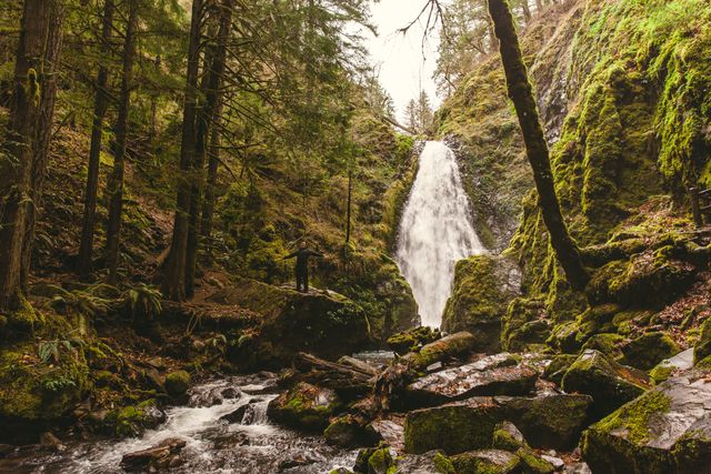 Solitary hiker exploring scenic waterfall in dense, lush forest. Ideal for themes of adventure, nature, outdoor activities, and travel. Useful for websites and publications focused on hiking, natural landscapes, and environmental beauty.