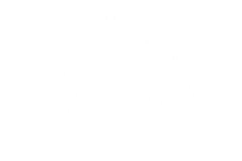 transparent dotted network web structure illustration - Download Free Stock Videos Pikwizard.com