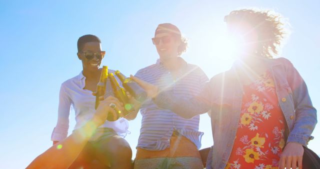 Friends Celebrating with Beers Under the Bright Sun - Download Free Stock Images Pikwizard.com