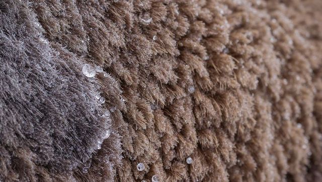 Frosted brown shaggy fabric macro showing ice crystals and frozen droplets on soft fibers