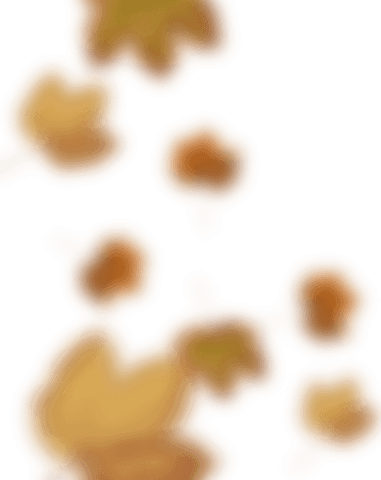 transparent blurry maple leaves in warm autumn colors - Download Free Stock Videos Pikwizard.com