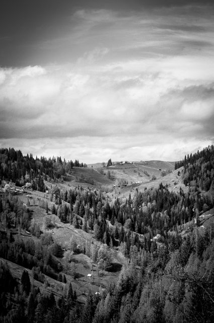 This image showcases a black and white view of a rolling hillside covered with dense forests and scattered small buildings beneath a sky filled with clouds. Perfect for backgrounds, wall art, and projects themed around nature, tranquility, and rural scenery.