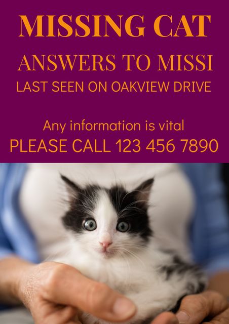 This vibrant missing cat poster uses a purple background and an image of an owner holding a black-and-white kitten. Clear text calls for help to find a lost kitten named Missi, indicating that she was last seen on Oakview Drive. Ideal for printing and distributing in local neighborhoods, online sharing on social media platforms, or community bulletin boards to alert local residents and organize a search effort.