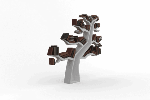 Creative Tree Shaped Bookcase with Books on Transparent Background - Download Free Stock Videos Pikwizard.com