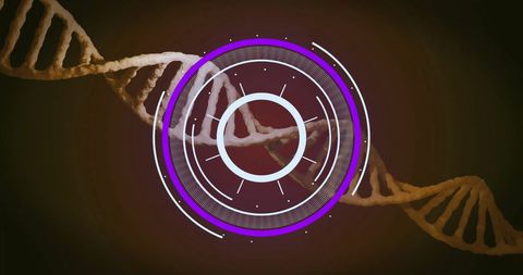 Futuristic dna strand with digital interface technology design