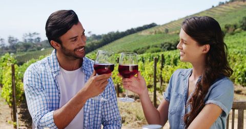 Happy Couple Toasting Red Wine in Picturesque Vineyard - Download Free Stock Images Pikwizard.com