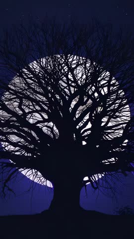 Vertical zooming night video showing bare tree canopy silhouetting full moon