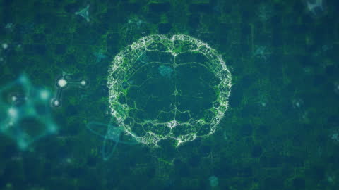 Digital Brain with Dynamic Interfaces and Shapes