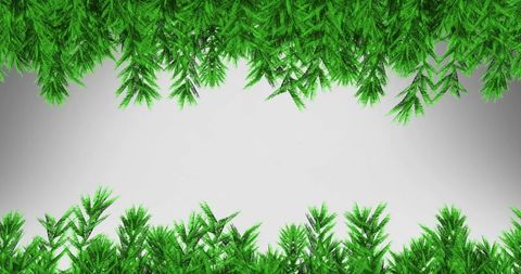 Wreath of Green Fir Branches on White Background - Download Free Stock Images Pikwizard.com