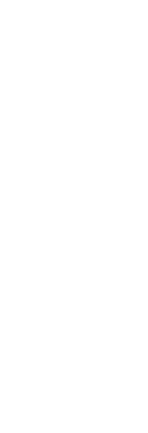 Athletic Woman's Silhouette with Javelin on Transparent Background