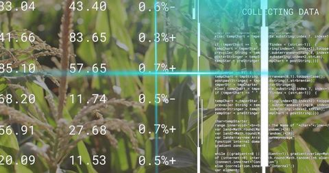 Futuristic Agriculture Data Visualization on Rice Field