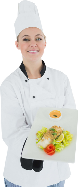 Transparent Portrait of Smiling Chef Presenting Dish - Download Free Stock Videos Pikwizard.com