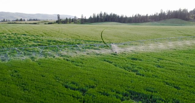 Aerial View of Green Field with Irrigation System - Download Free Stock Images Pikwizard.com