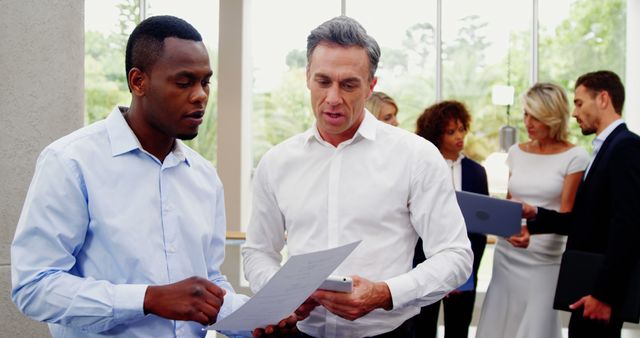 Diverse Business Team Discussing Documents in Office Environment - Download Free Stock Images Pikwizard.com