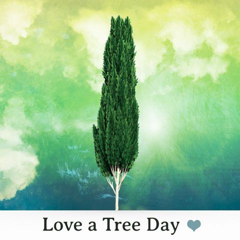 love a tree day celebration with tall pine tree illustration - Download Free Stock Templates Pikwizard.com