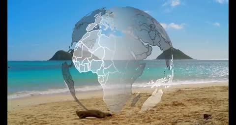 Spinning Wireframe Globe Transitioning on Beach Scene