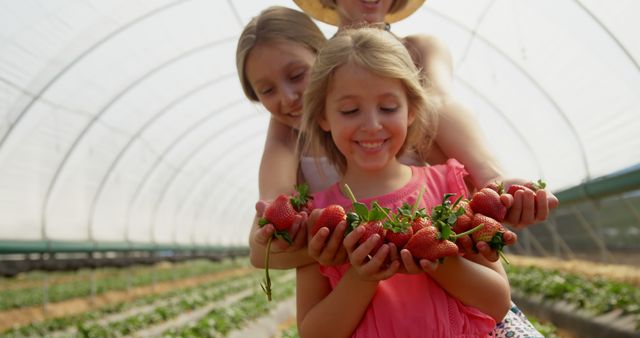 Children are smiling and holding fresh strawberries with their mother in a greenhouse. Vibrant, joyful scene celebrating organic farming and gardening. Perfect for themes related to family activities, healthy eating, farming, and sustainability.