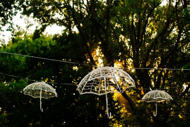 Decorative white umbrellas with built-in lights hanging amid lush green trees during evening, creating a whimsical artistic environment. Could be used in articles about outdoor decor, creativity in garden lighting, or art installations. Perfect for blogs on unique DIY lighting ideas, creative home and garden decor magazines, and websites focusing on artistic outdoor settings.