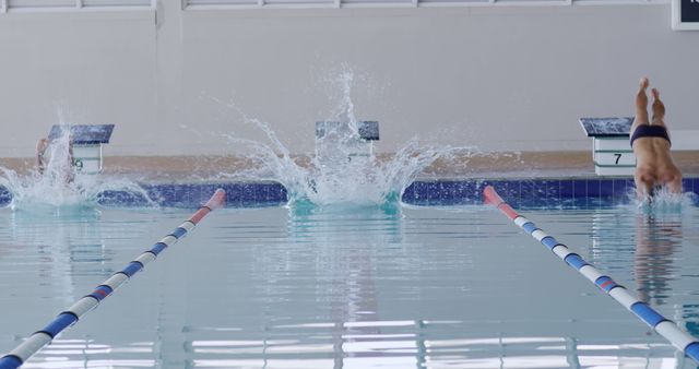 Swimmers Diving into Pool During Competition - Download Free Stock Images Pikwizard.com