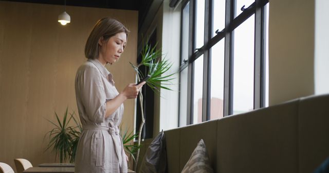 Woman working on smartphone in well-lit modern office near large windows and plants. Suitable for articles on remote work, modern workplace, and office environments. Can be used in brochures or corporate websites to depict professional yet relaxed work settings.