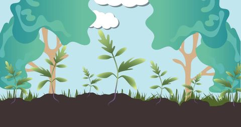 Thriving Plants and Forest Landscape Emphasizing Nature's Growth