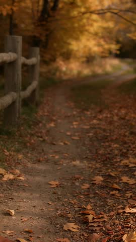 Boot pressing into leaf-strewn trail along rustic wooden fence during autumn hike vertical video