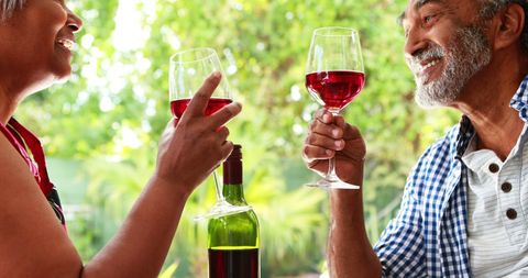 Joyful Senior Couple Toasting Red Wine Outdoors - Download Free Stock Images Pikwizard.com