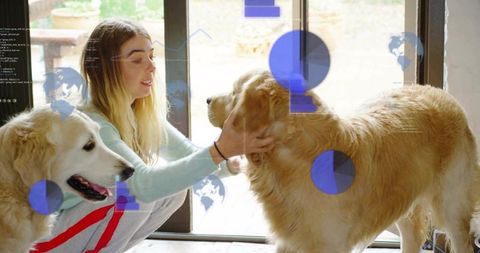 Young Woman Petting Two Golden Retrievers by Sunlit Glass Door with Data-Overlay Graphics