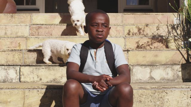 A young boy with a thoughtful expression sits on outdoor stairs with a backpack, while two playful puppies run around in the background. Ideal for use in articles about childhood, outdoor activities, or pet companionship. This video also fits well in advertisements for children's fashion, education, pet care products, or lifestyle blogs aiming for a warm and casual atmosphere.