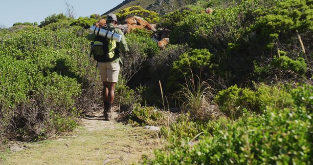 African american man hiking with hiking poles in mountain countryside. fitness training and healthy outdoor lifestyle.