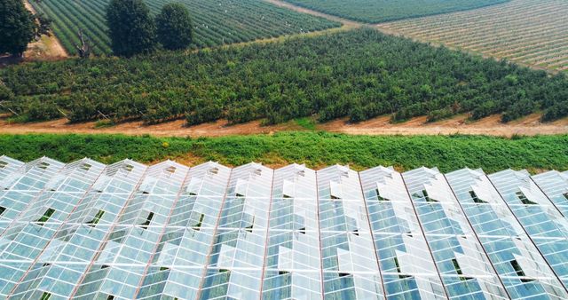 Green farm covered with rooftop glass on a sunny day 4k
