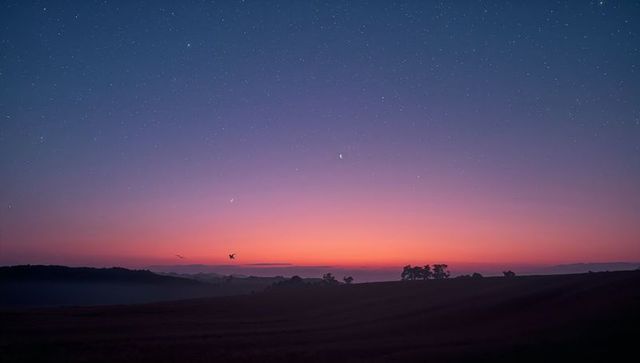 Twilight Crescent Moon Over Misty Countryside With Starry Sky and Bird Silhouette at Dusk
