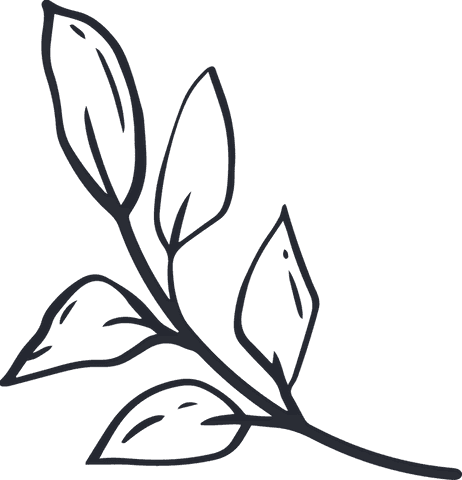 minimalist botanical line art - elegant transparent leaf design - Download Free Stock Videos Pikwizard.com