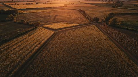 Golden sunset over vast aerial farmland with crop fields