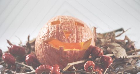 Carved Halloween Pumpkin with Grimacing Face on Dry Foliage - Download Free Stock Images Pikwizard.com