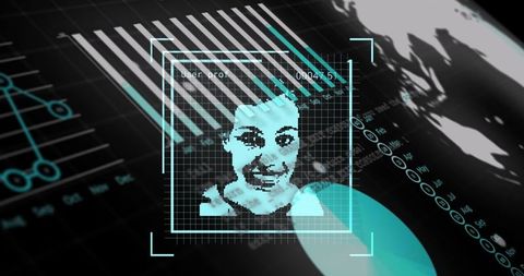 Facial recognition data processing interface