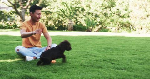 Playful Moment: Small Puppy Chasing Ball on Sunlit Lawn