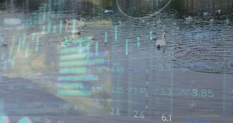 Swans and Stock Market Blend Reflecting Nature and Business