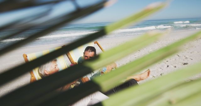 Elderly Couple Relaxing on Beach Behind Palm Leaf - Download Free Stock Images Pikwizard.com