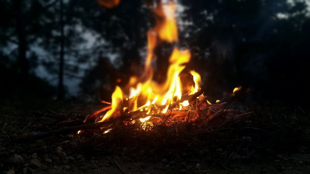 Campfire burning in forest during dusk. Perfect for themes related to camping, outdoor activities, wilderness survival, and nature excursions. Ideal for illustrating stories or blog posts about camping trips, nature walks, forest adventures, and outdoor training.