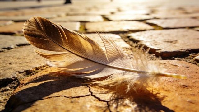 Delicate feather resting on sunlit cobblestone casting long shadow at golden hour closeup
