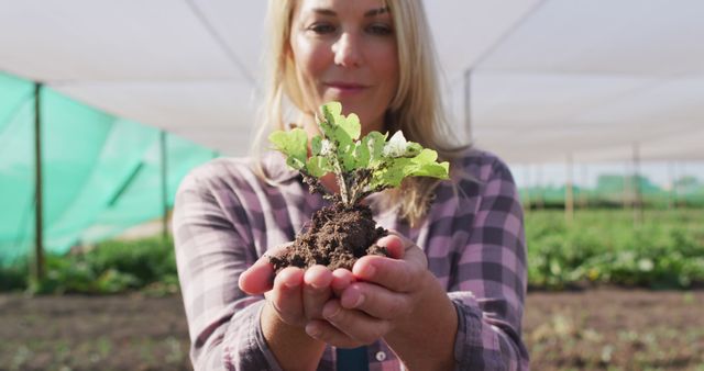 Female Farmer Holding Seedling in Greenhouse - Download Free Stock Images Pikwizard.com