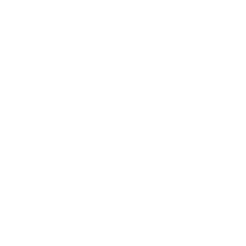 transparent botanical illustration of long leafy twig design - Download Free Stock Videos Pikwizard.com