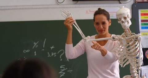 Teacher Demonstrating Skeleton Model in Classroom Education - Download Free Stock Images Pikwizard.com