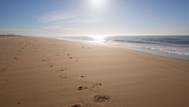 Sun Glinting Over Empty Sandy Beach with Footprints Leading to Calm Morning Waves